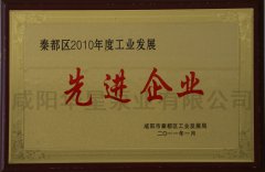 秦都區2010年度工業發展先進企業